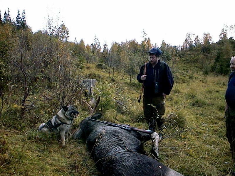 2004 Okse Vennadalen_1.jpg - Dixi, Bernt og Trygve ved 6-spiringen
